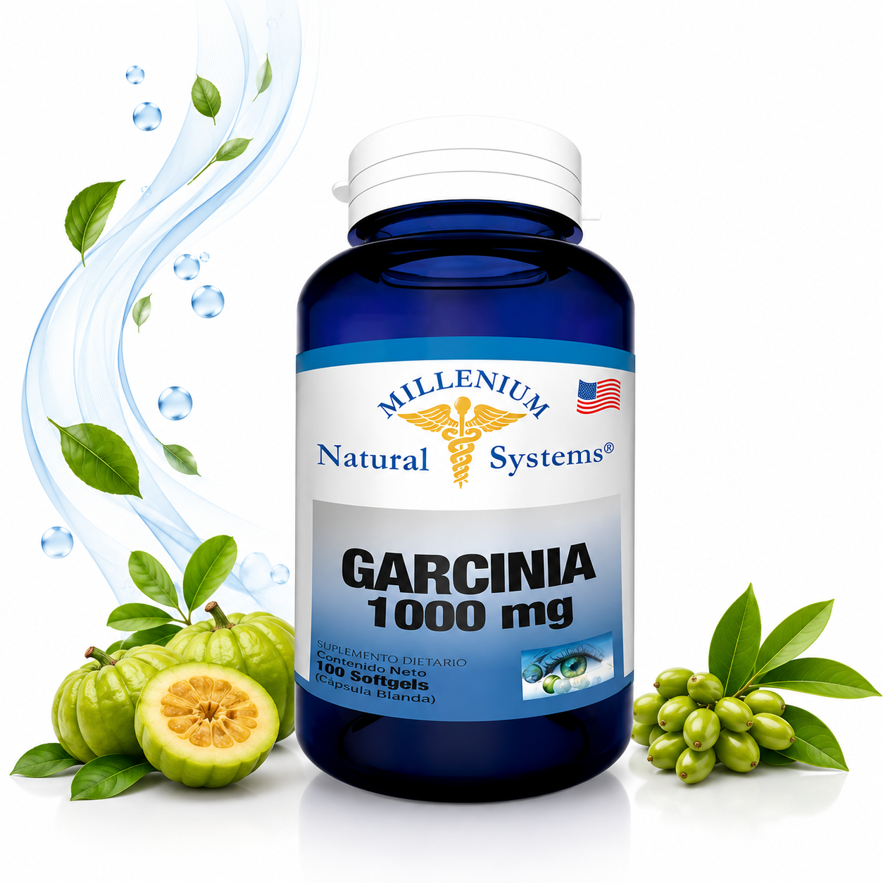 PRINCI-GARCI.png